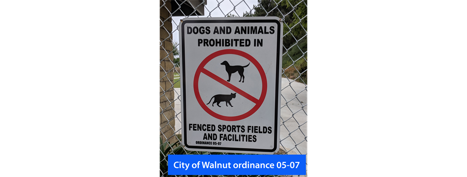 No pets allowed