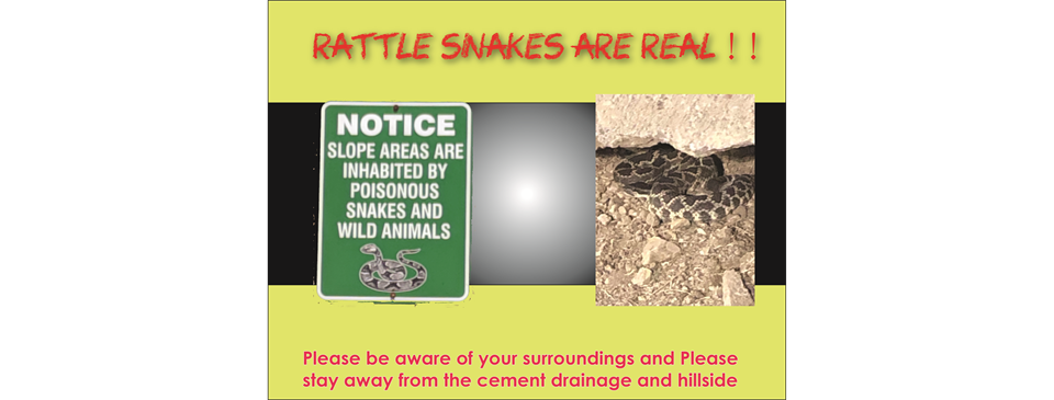 Snake Warning 